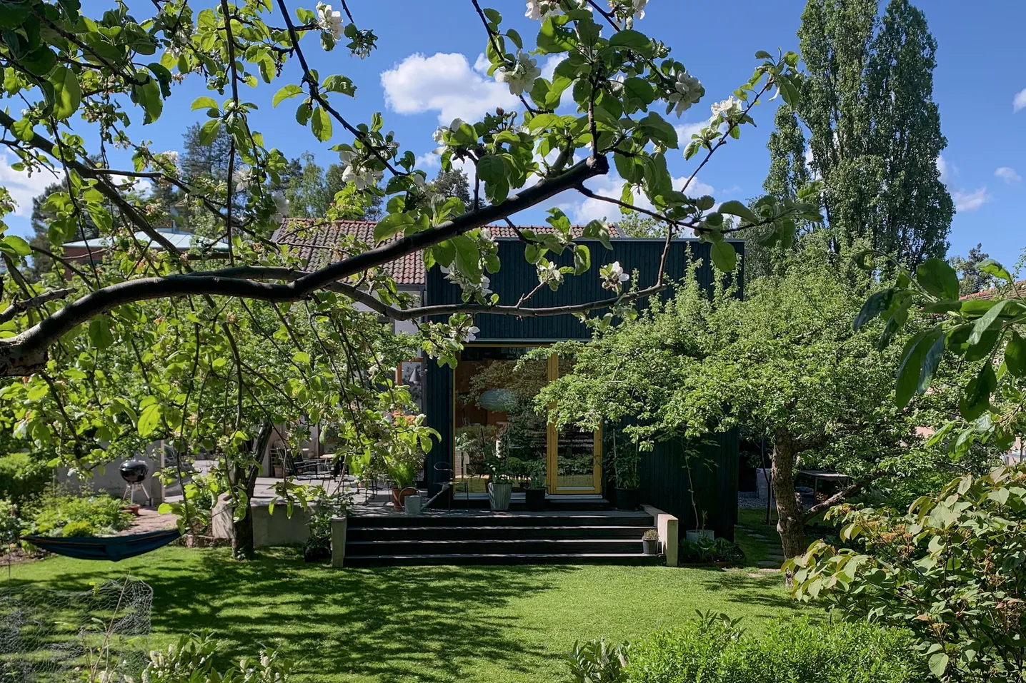 Un jardín con árboles y una casa al fondo.